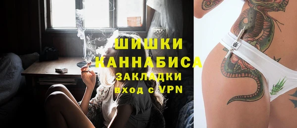 PSILOCYBIN Богданович