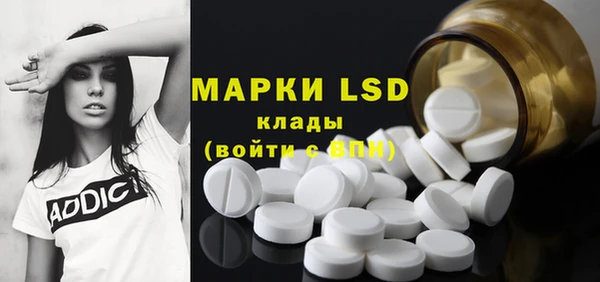 PSILOCYBIN Богданович