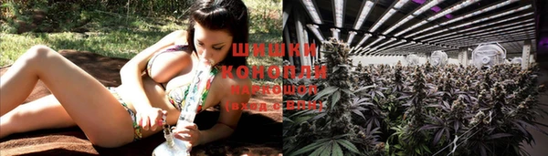 PSILOCYBIN Богданович