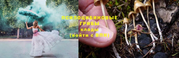 спайс Богородск