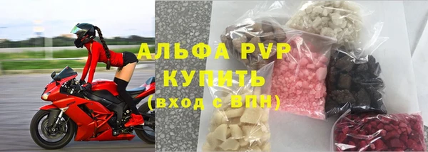 PSILOCYBIN Богданович