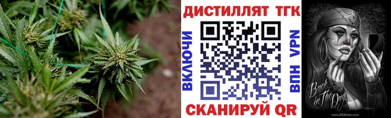 Купить где Бирюч ТГК жижа