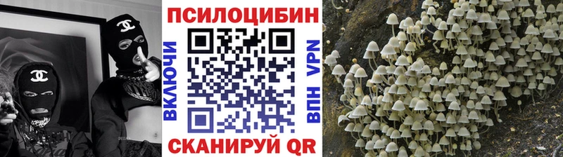 Галлюциногенные грибы мицелий  Купить закладки  Бирюч 